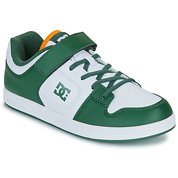 DC Shoes Shoes (Trainers) MANTECA 4 V SN