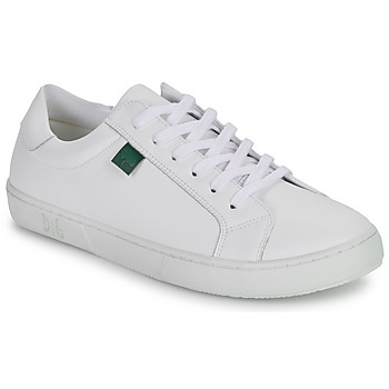 Dream in Green Shoes (Trainers) ACANTHE